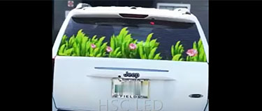 Car Rear Window LED Screen Market Scope Analysis
