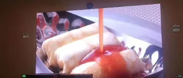 Encapsulation Techniques for Indoor Small-Pitch LED Displays